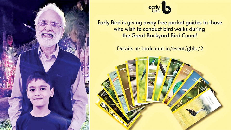 All about Birds, for Little Buds ! Star of Mysore