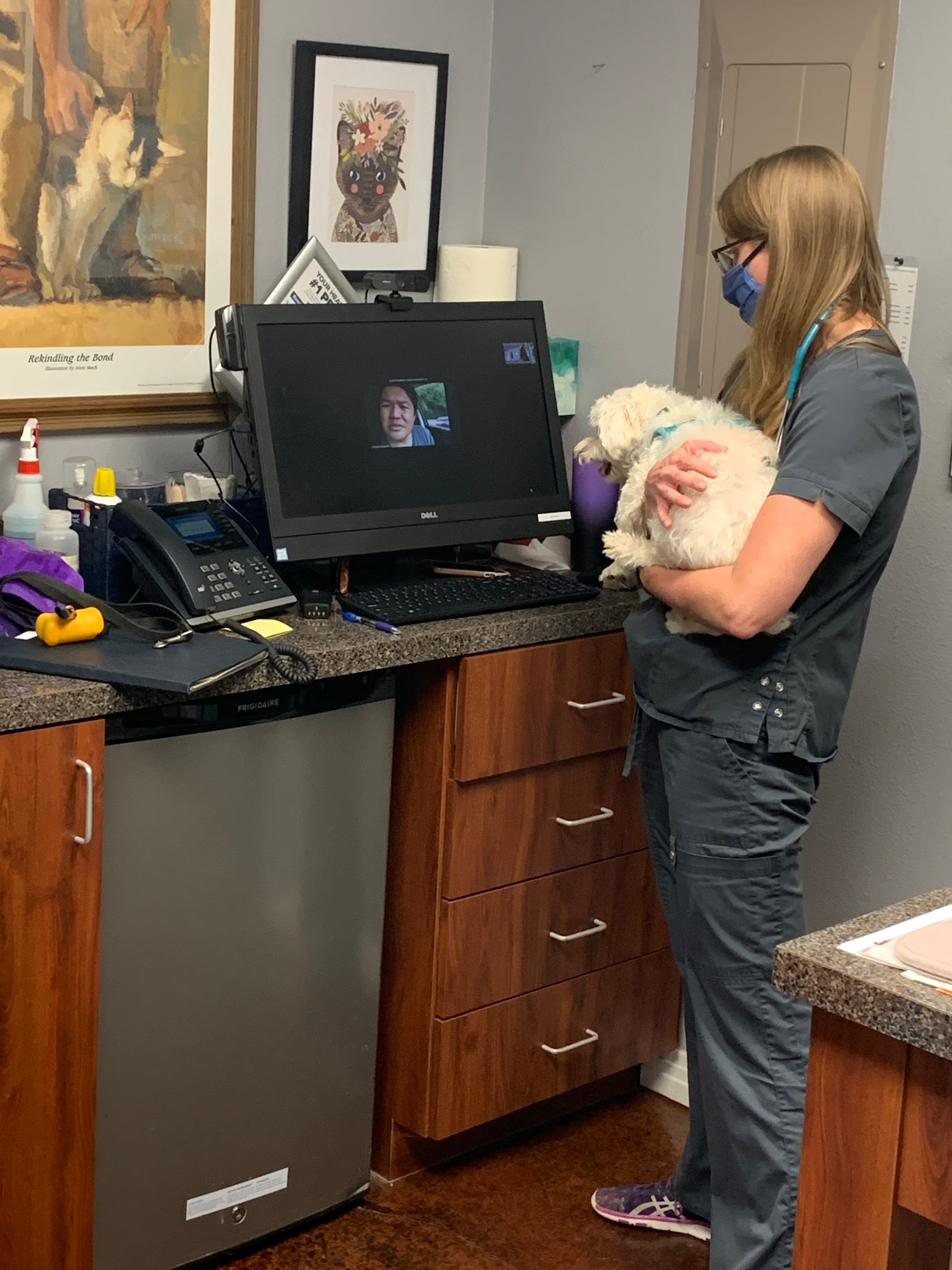 3 New Ways to Connect With Your Pet's Veterinarians During COVID19