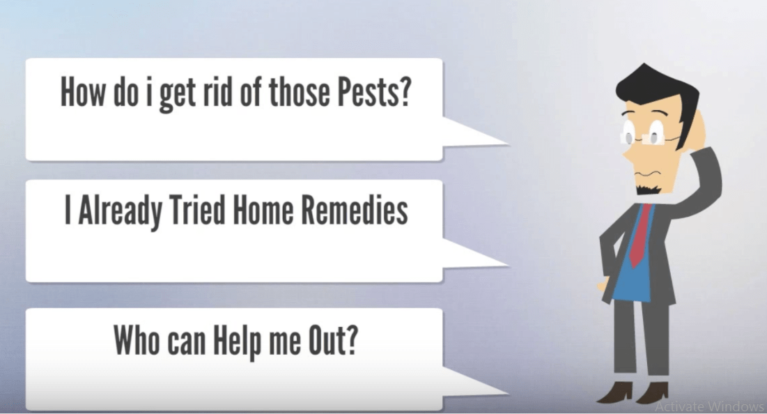 Benefits of hiring a professional pest control company New Star