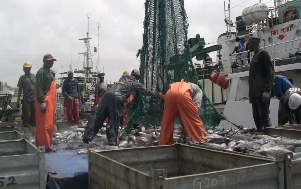 Fishery experts push for securing, mapping of fish landing sites Starr Fm