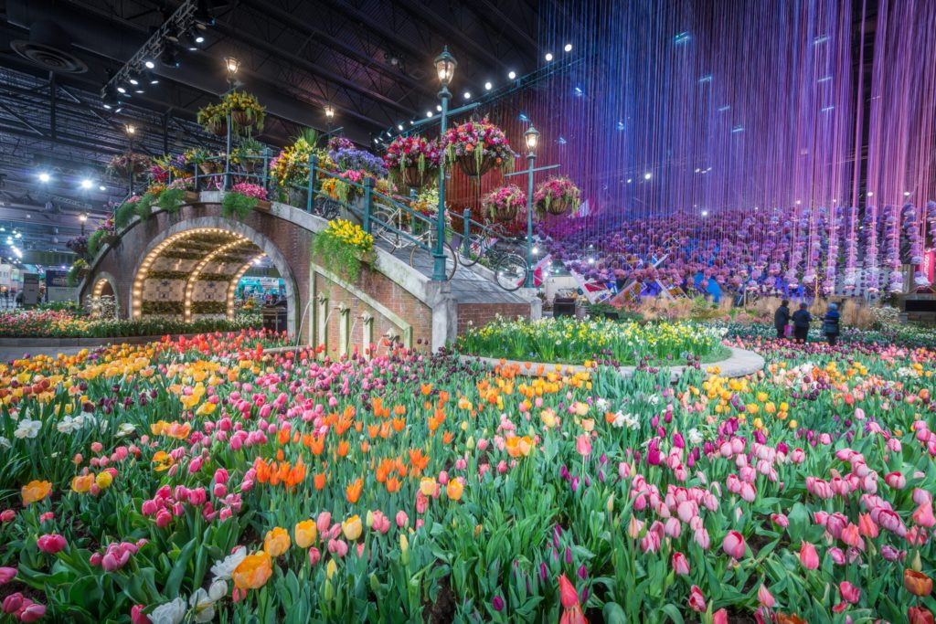 Philadelphia Flower Show 2024 Promo Code Redeem Livia Queenie