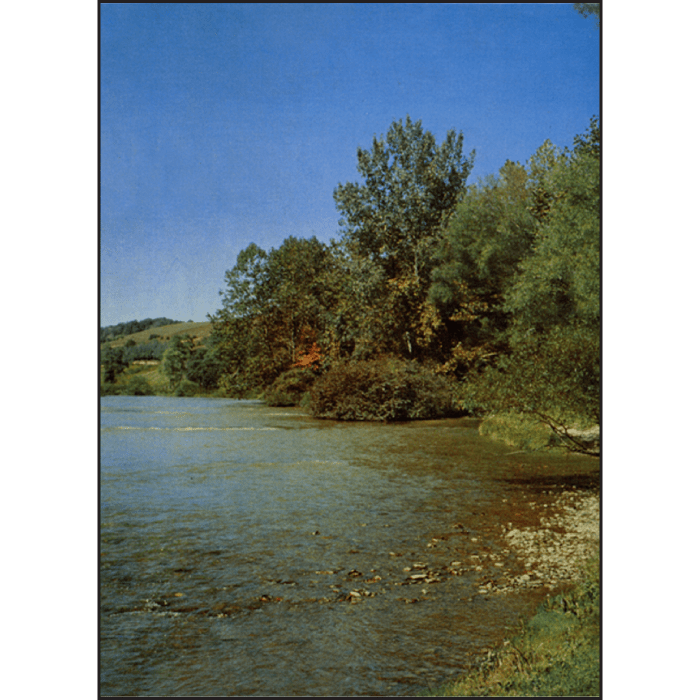 History of Alleghany County, NC 18591976 Star Route Books