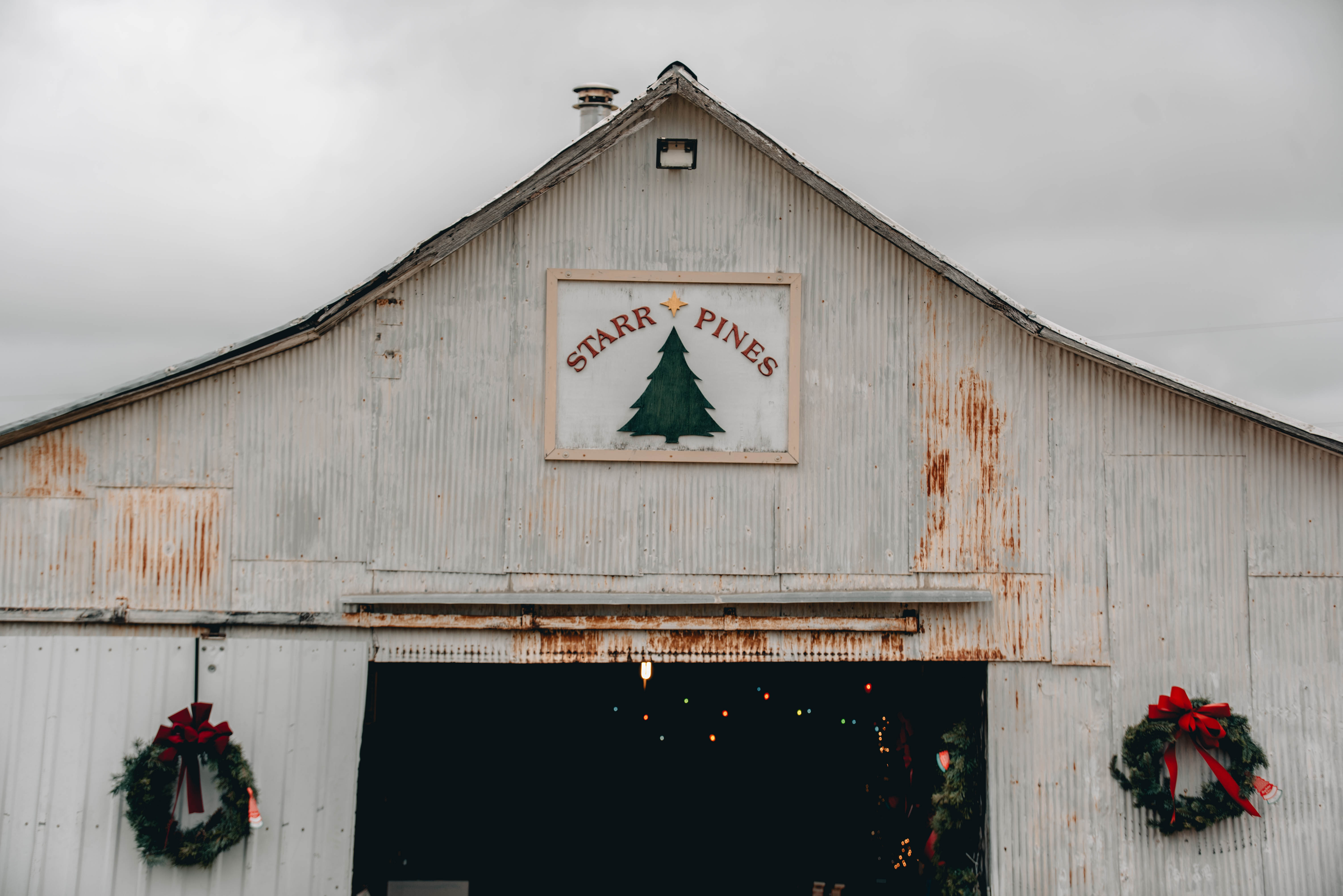 Starr Pines Christmas Tree Farm