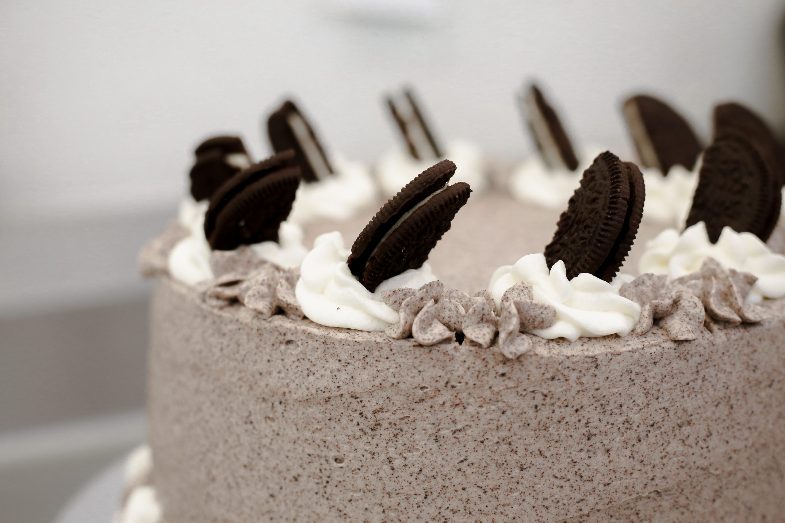 Starry Night Espresso Cafe Fort Collins Coffee Shop