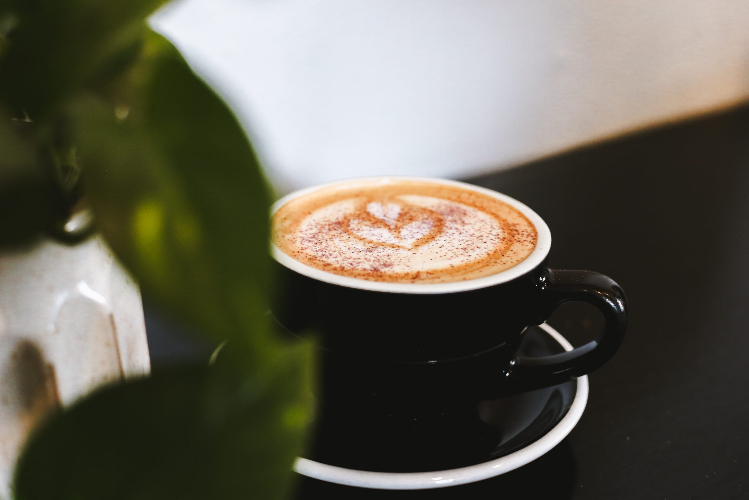 Starry Night Espresso Cafe Fort Collins Coffee Shop