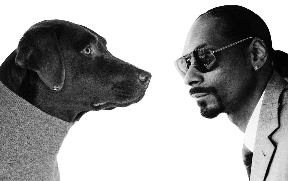 Snoop Dogg loves not only dogs but cats
