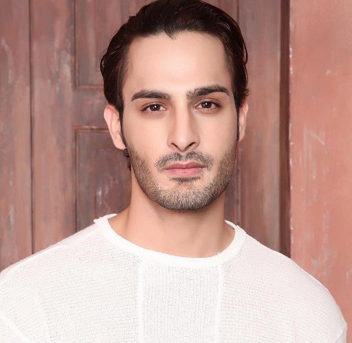Umar Riaz (Bigg Boss 15) Height, Age, Girlfriend, Family, Biography