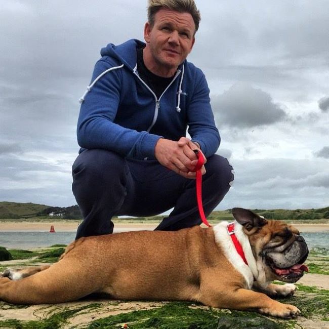Gordon Ramsay Height, Age, Wife, Children, Family, Biography & More