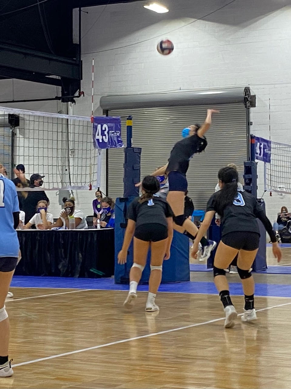 Summer Camps Stars Volleyball Academy