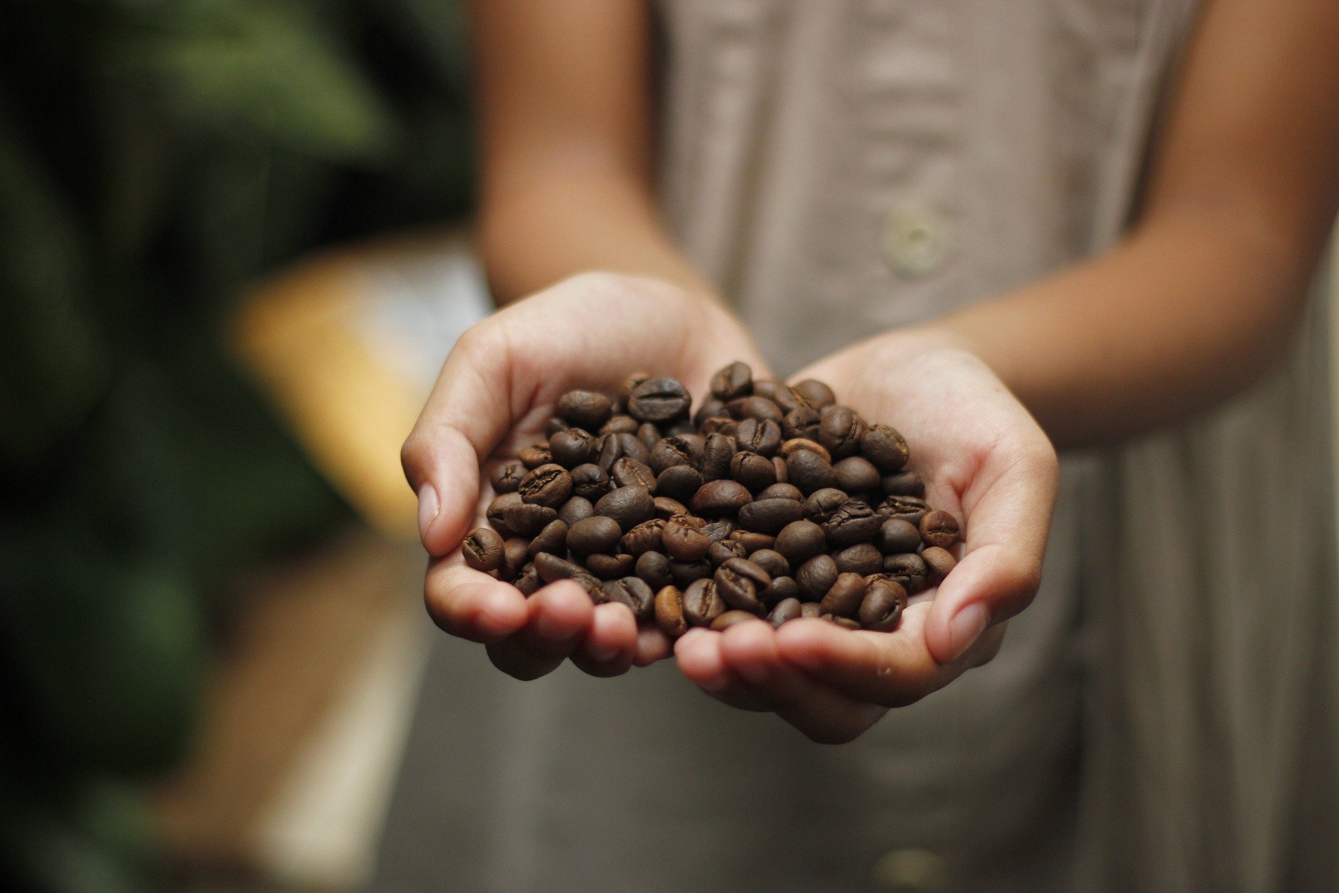 Driving Sustainability in the Global Coffee Market Agritask
