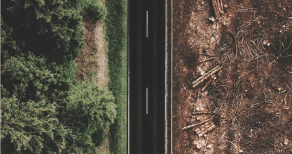 EU Deforestation Regulation Key Features, Impact and Challenges