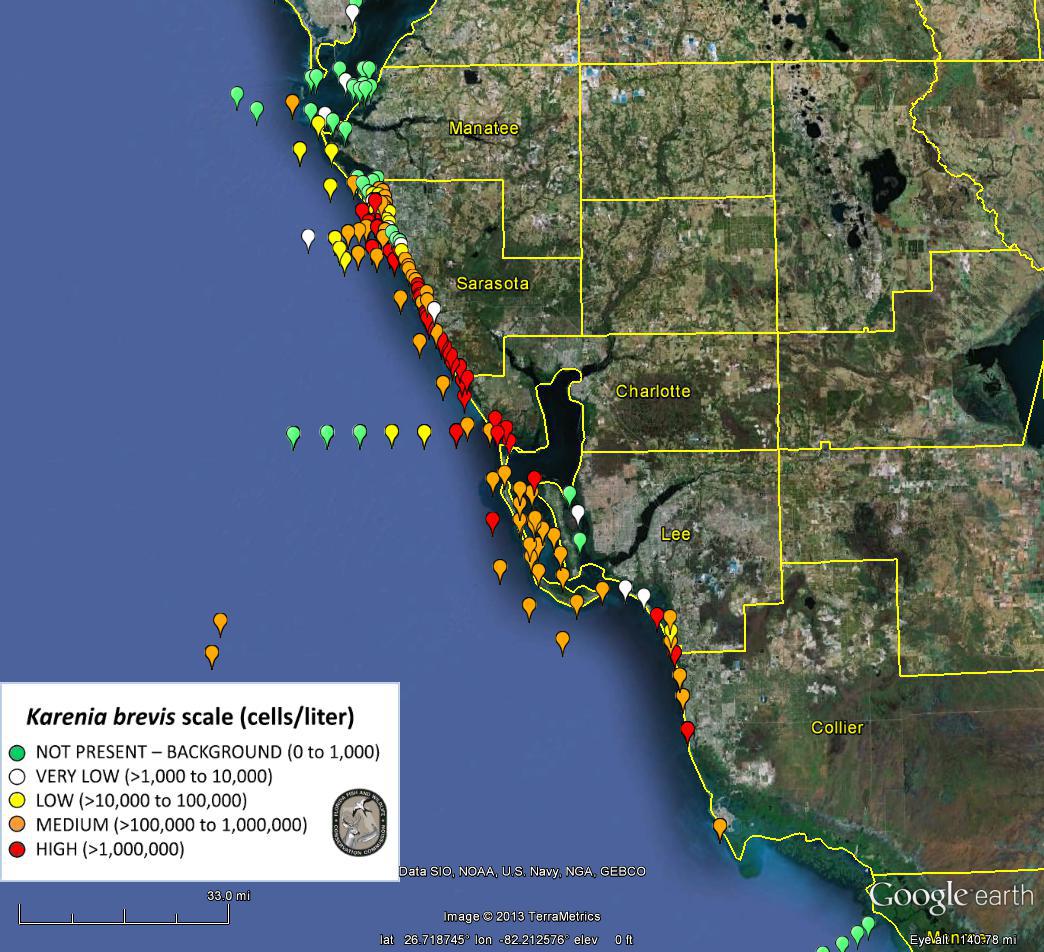 500 INTERNAL SERVER ERROR