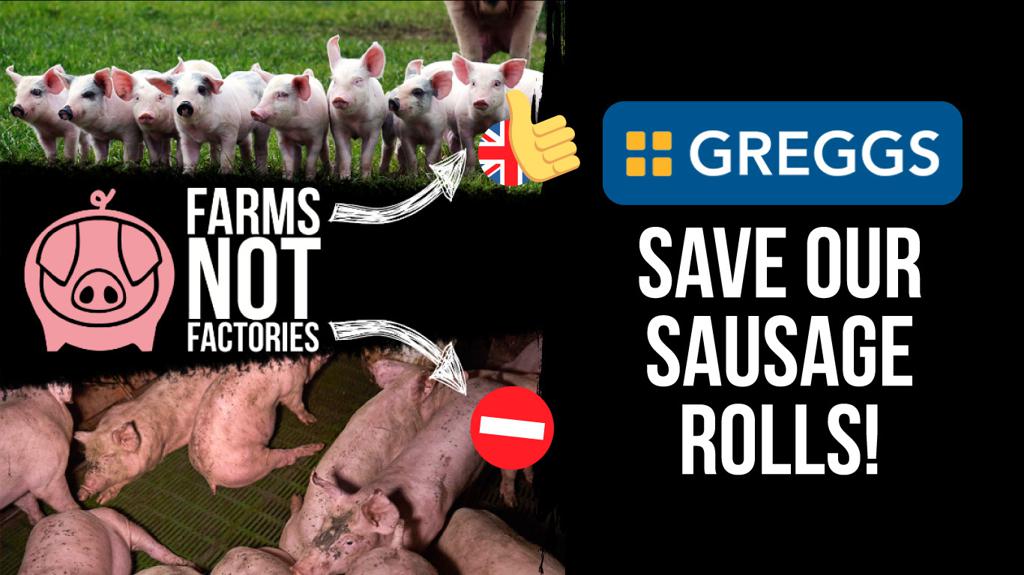 Greggs must never use low standard US pork