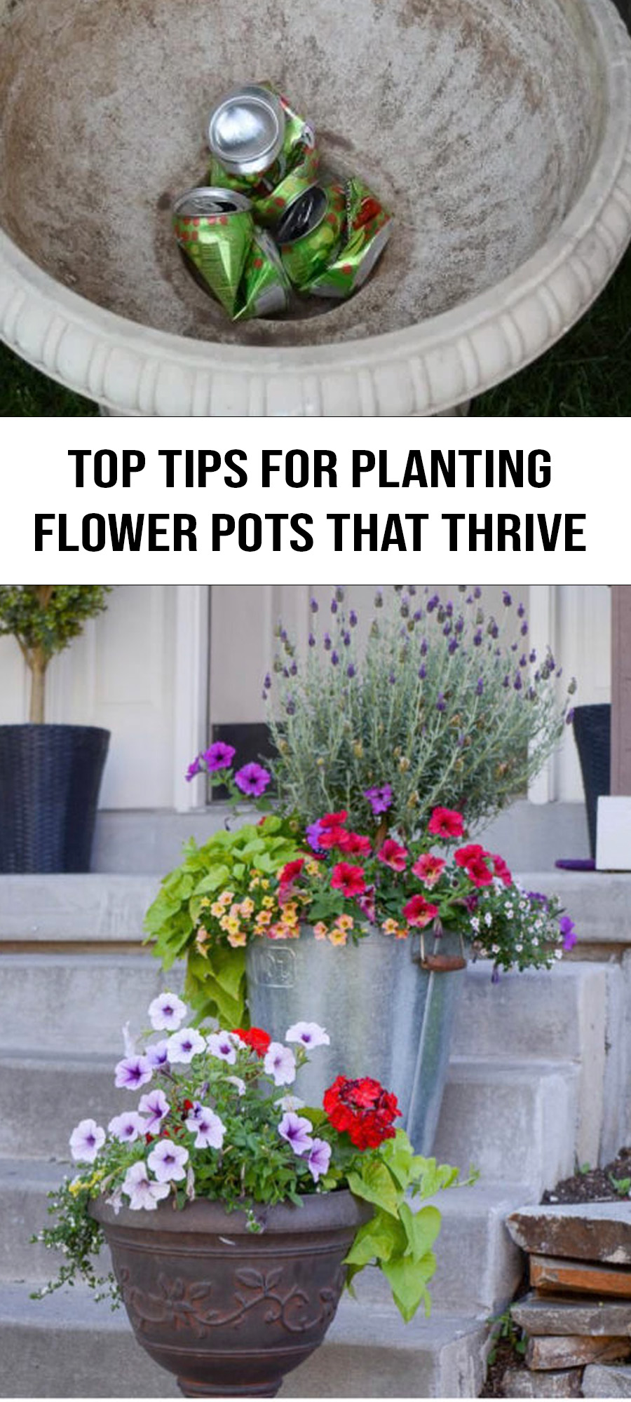 Top Tips for Planting Flower Pots That Thrive Start at Home Decor