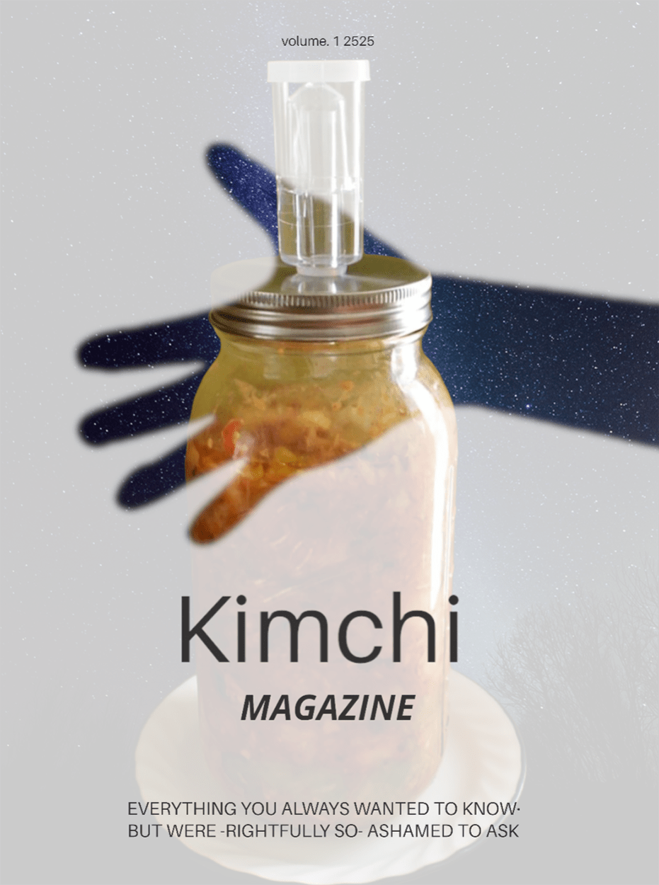 Vegetable fermentation starterskit Startercultures.eu