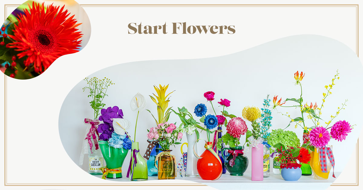 Start Flowers [スタートフラワーズ]