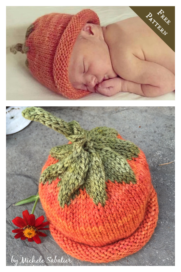 19+ Pumpkin Hat Knitting Pattern SaharCalvyn