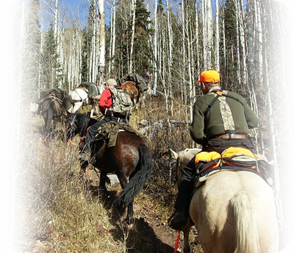 Guide to Elk Hunting Start My Hunt