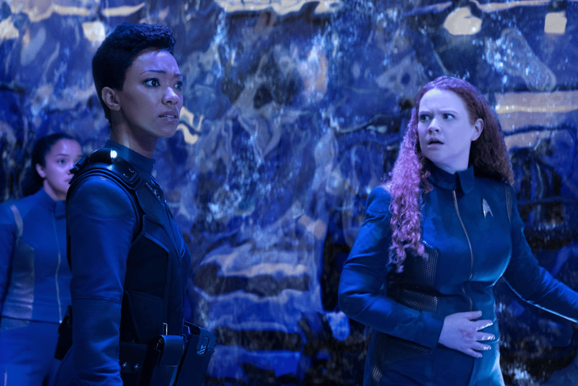 Star Trek Discovery The newest member of the cast is a wonder