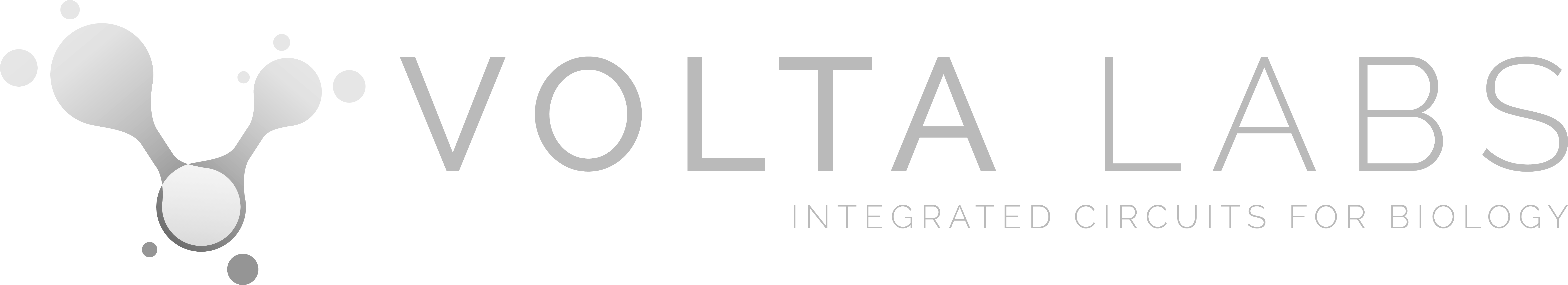 Startup Features STEX