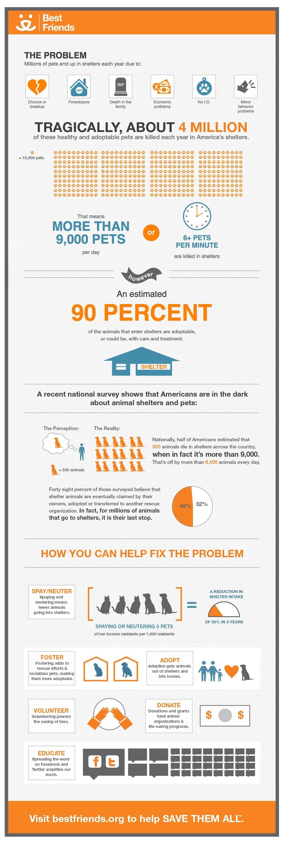 How To Start An Animal Rescue Business Startup Jungle