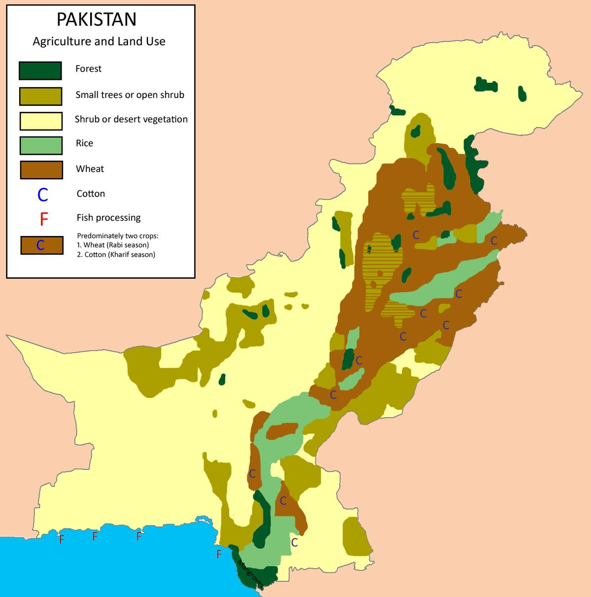 Forests in Pakistan Location, Covered Area & Everything you Need to Know Startup Pakistan