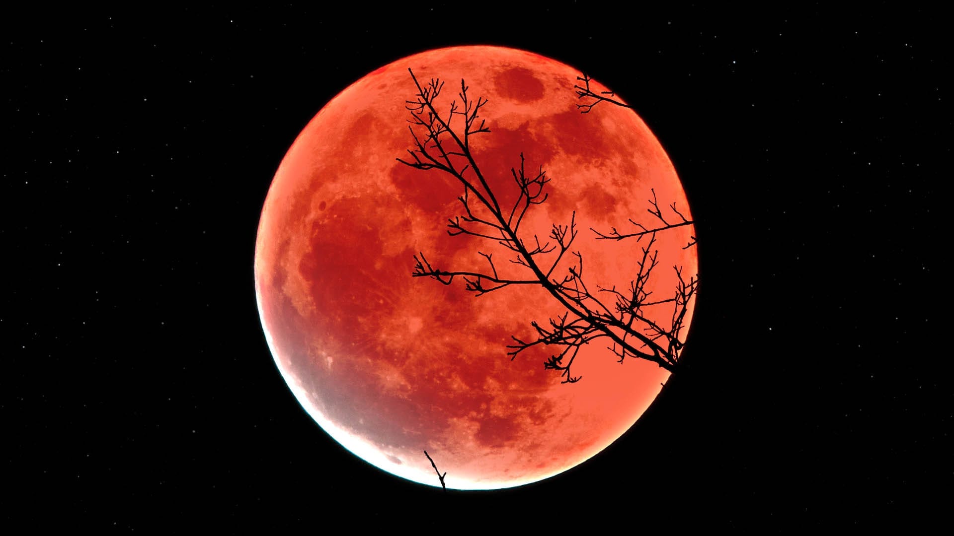 Full Moon Total Lunar Eclipse 2021 Blood Moon Eclipse 2021 Exactly