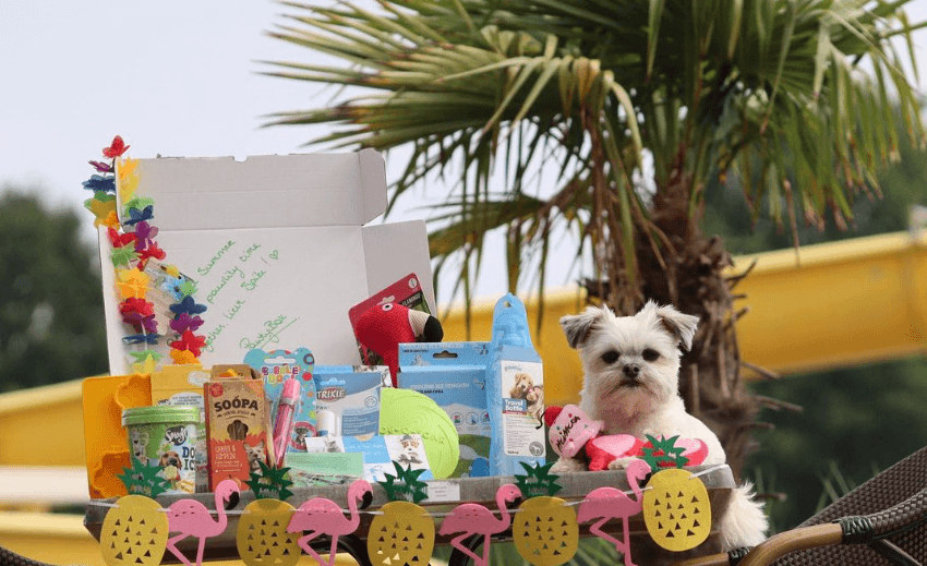 Top 25 Dog Toy Ambassadors