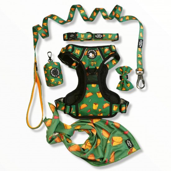 Top 7 Dog Ambassador Programs On