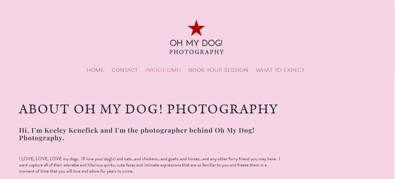 Top 100 dog modeling agencies in the United States
