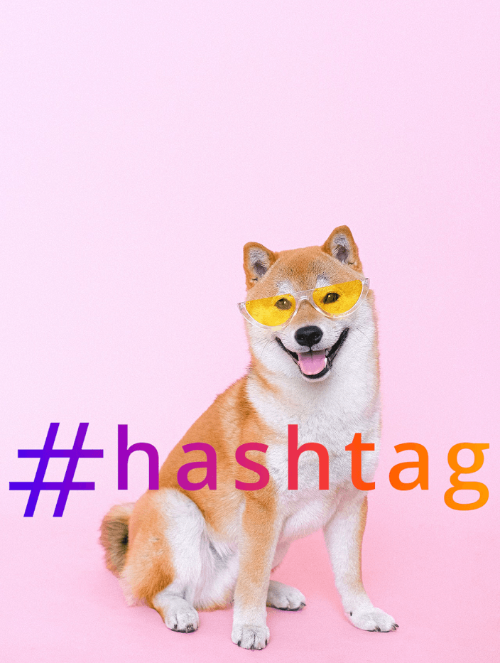 Best Hashtags for Dog Lovers—And This is The No.1 Hashtag