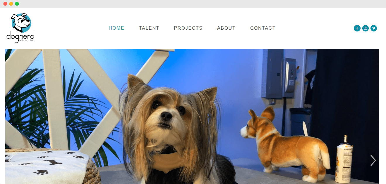 Top 100 dog modeling agencies in the United States