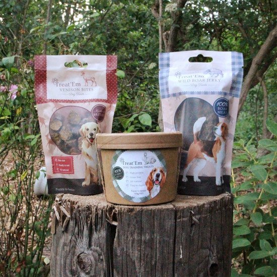 Top 7 Dog Ambassador Programs On