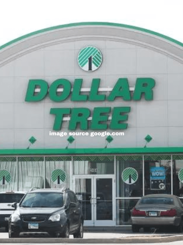 9 Spring Items at Dollar Tree You Won't Find Anywhere Else StatAnalytica
