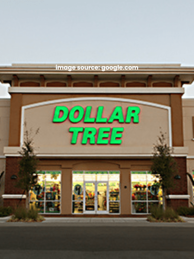 10 Cheap Dollar Tree Essentials You Won’t Find Anywhere Else(03)