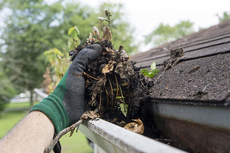 How Much Do Most People Charge to Clean Gutters? Stateless Homesteading