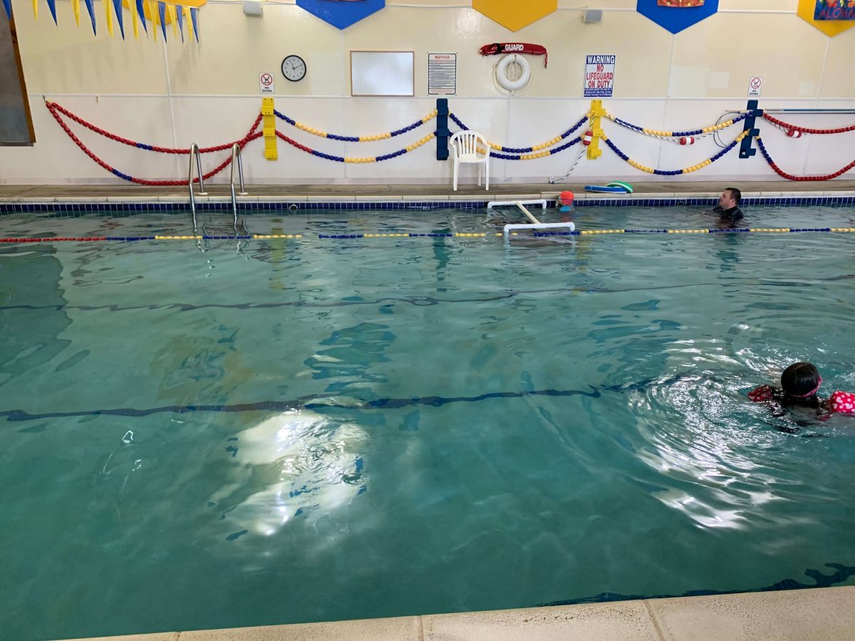Rent Out This Entire Indoor Pool in the Rockford Area Stateline Kids