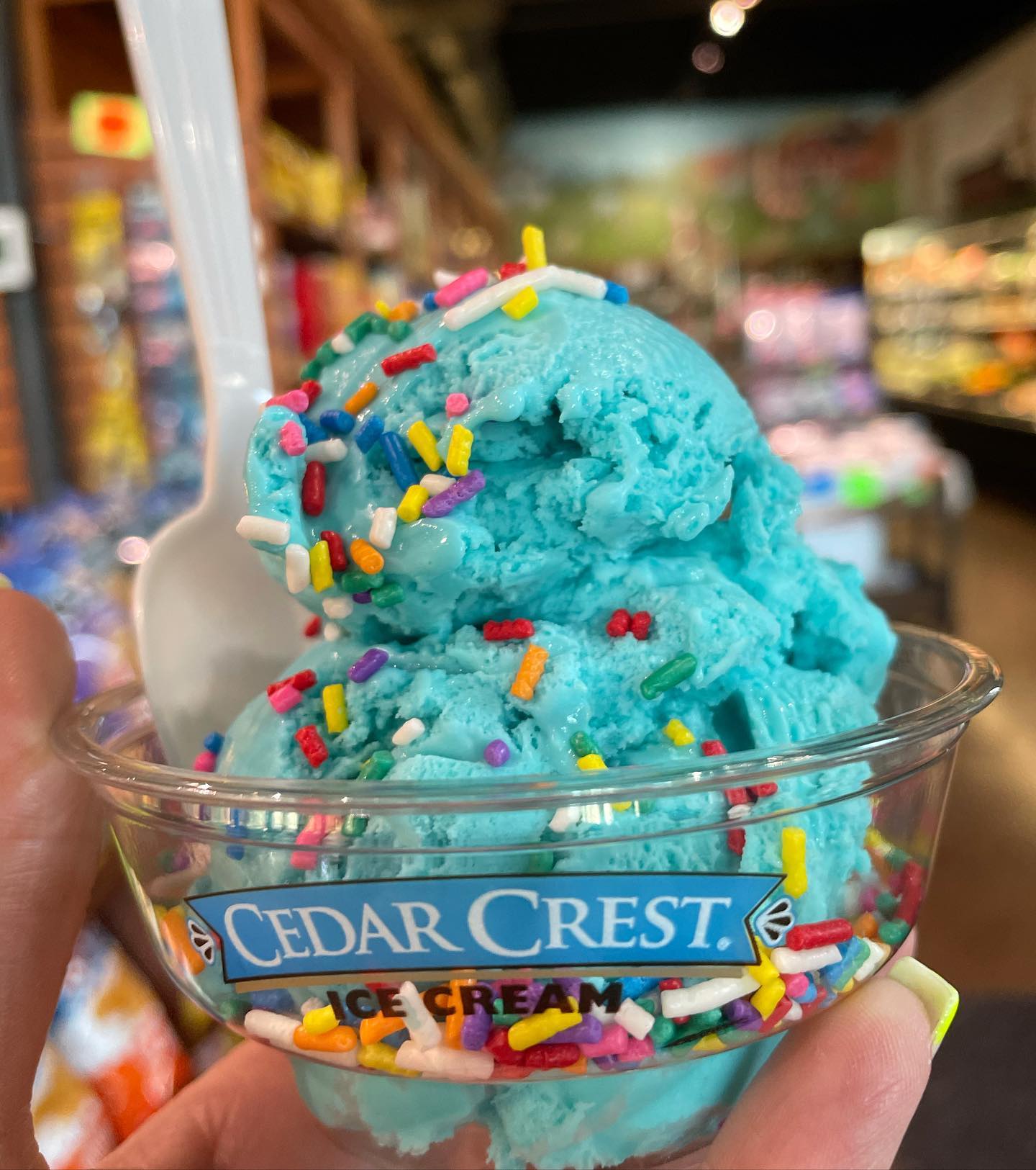 Best Ice Cream Shops in the Stateline Stateline Kids