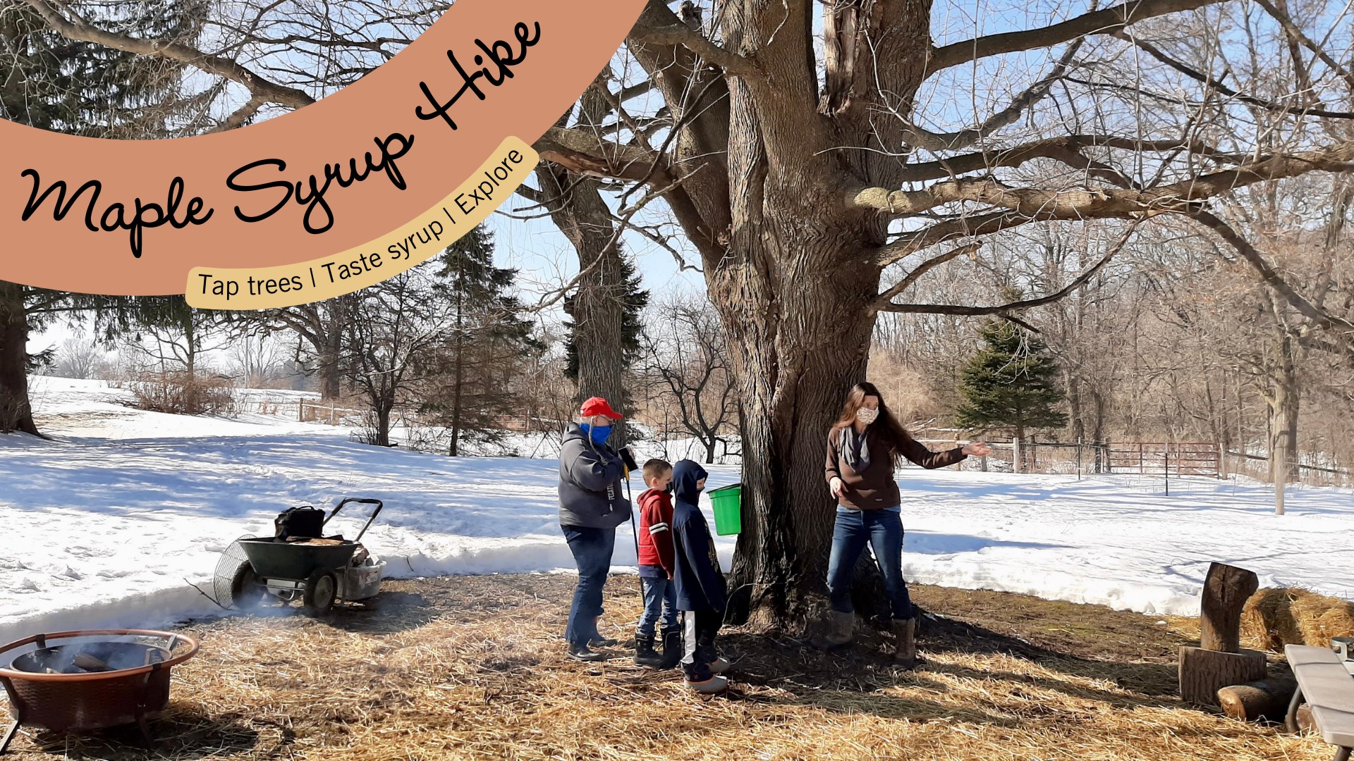 Maple Syrup Hike Stateline Kids