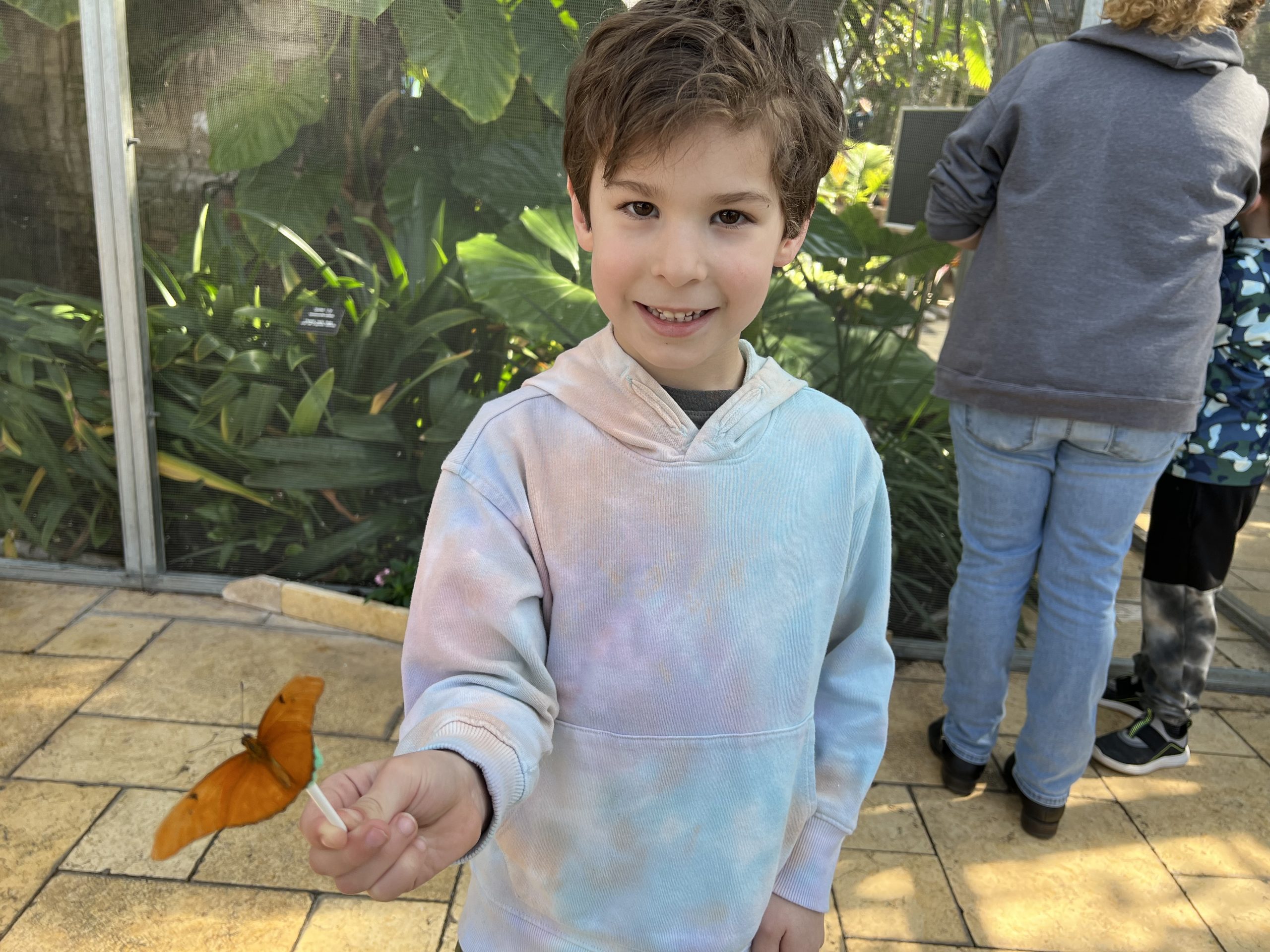 Visit the Butterfly Exhibit in Rockford This Spring