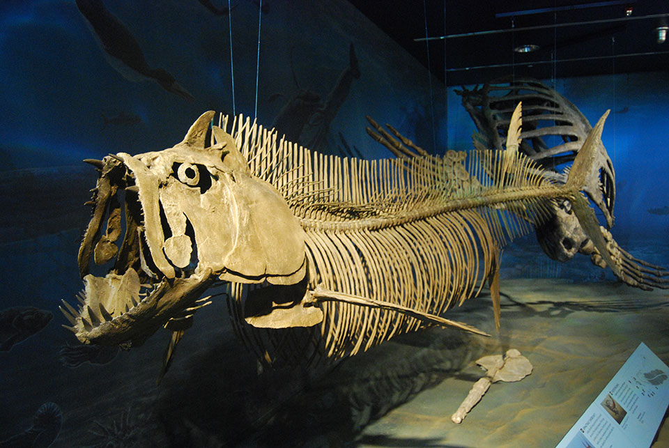 Underwater World (14565 Million Years Ago) North Dakota Heritage