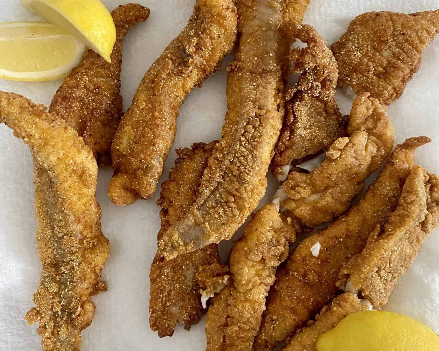 Famous Food From Arkansas State of Dinner Catfish and Cheese Dip