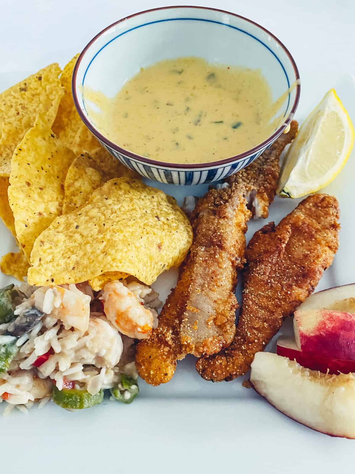 Famous Food From Arkansas State of Dinner Catfish and Cheese Dip