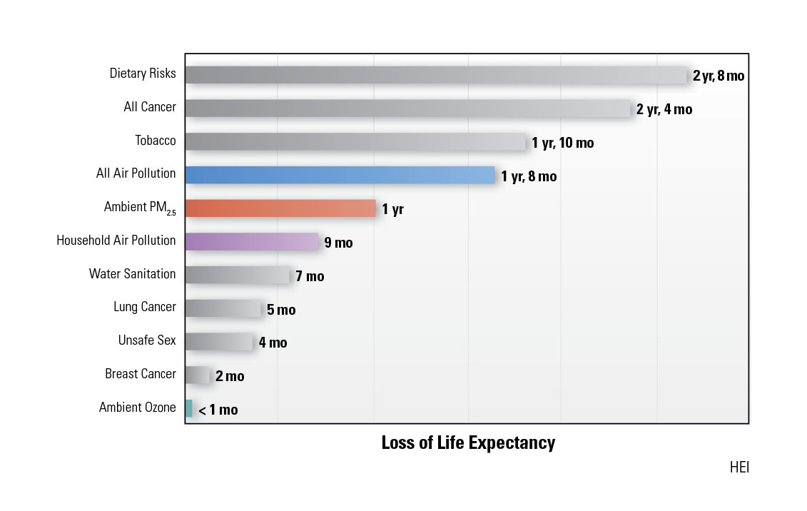 Impact of air pollution on life expectancy State of Global Air