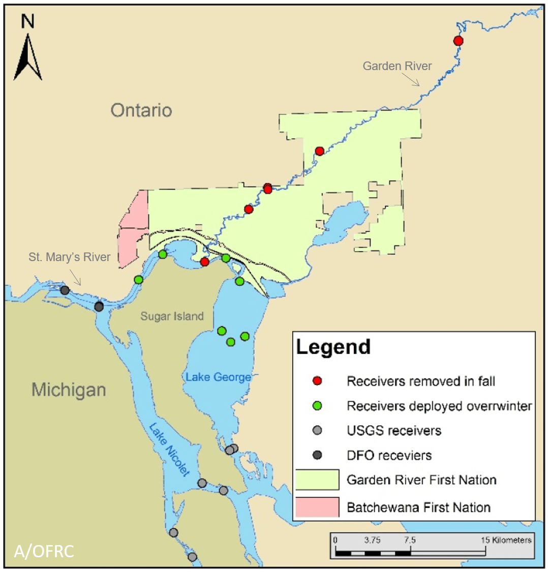Uncovering Mysteries of the Ancient Lake Sturgeon State of the Bay