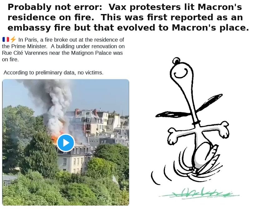Did the antivaxxers literally torch PM Emmanuel Macron residence in
