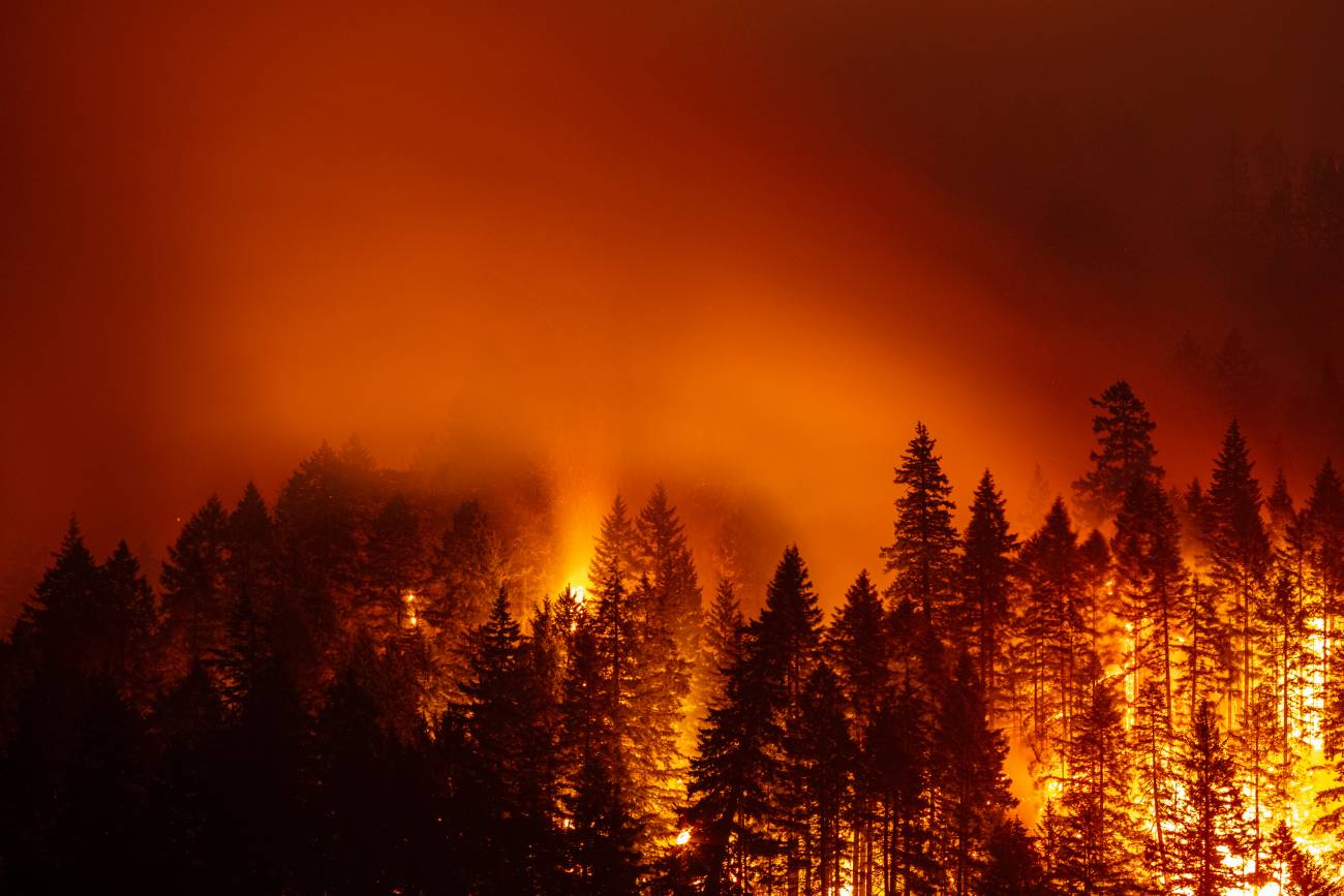Oregon to redraw wildfire hazard map after outcry StateScoop