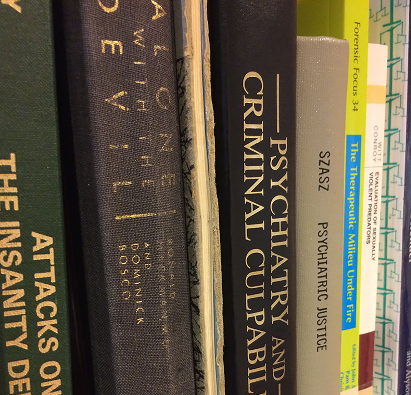 There is No Black and White, There is Only Grey. States of Incarceration