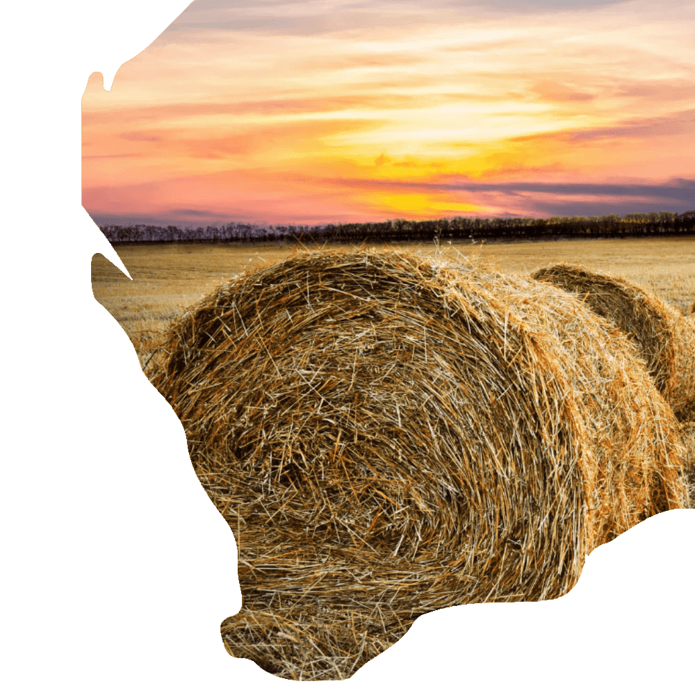 Mobile Hay Bale Banding WA Statewide Bale Banding