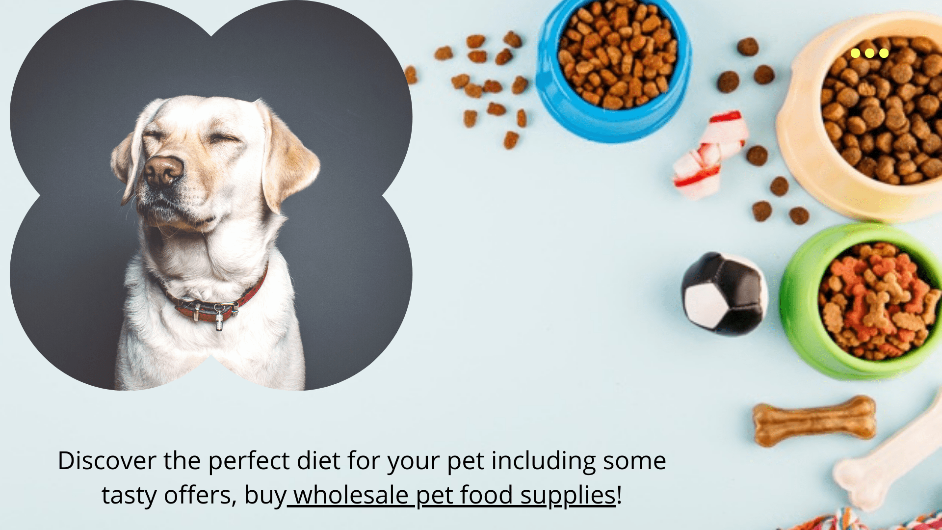 How to Find the Best Victor Pet Food